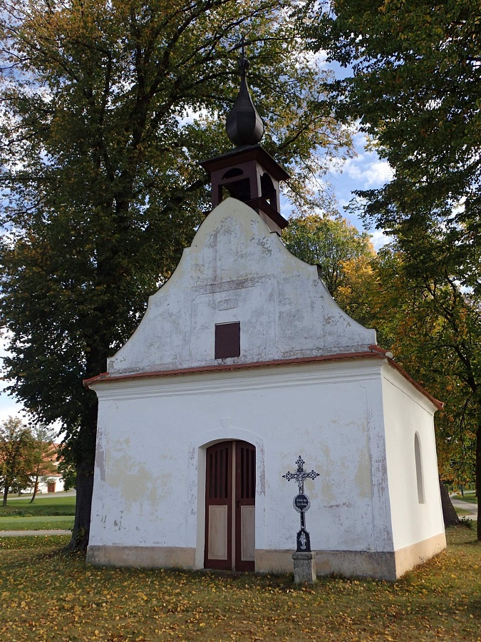 Val_C_kaple svJN