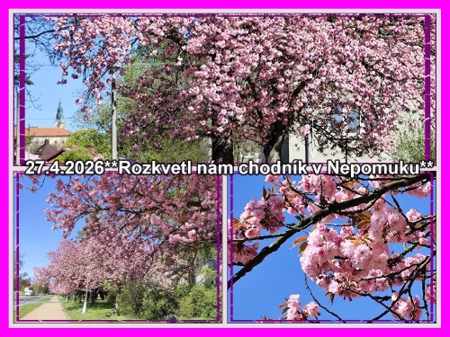 img_20260427_101358_postcard.jpg